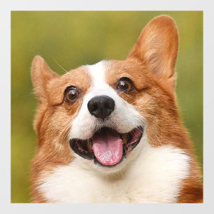 Add Dog Photo Personalized Customized Window Cling