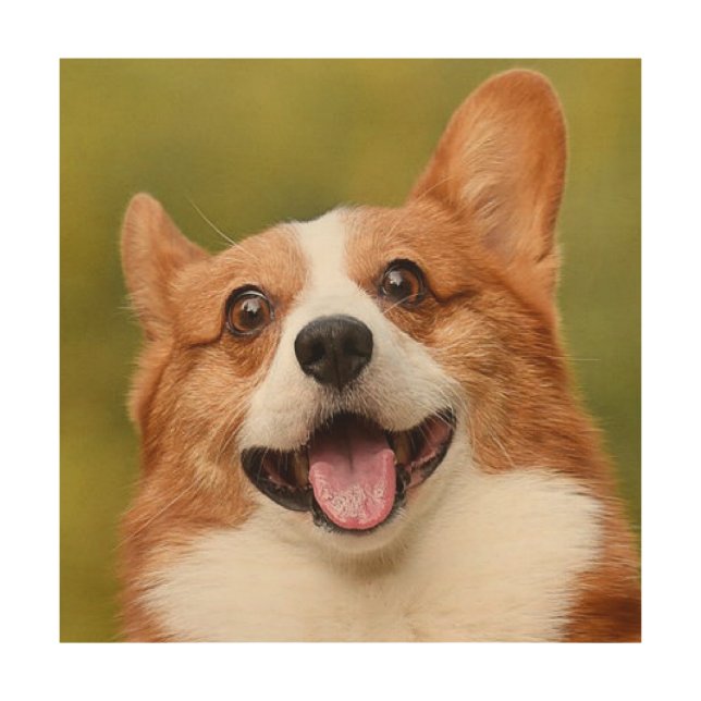 Add Dog Photo Personalized Customized Wood Wall Art (Front)