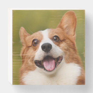 Add Dog Photo Personalized Customized Wooden Box Sign