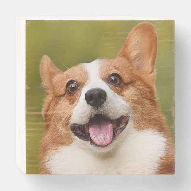 Add Dog Photo Personalized Customized Wooden Box Sign (Front Horizontal)