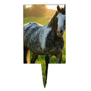 Add Horse Photo Customize Cake Topper