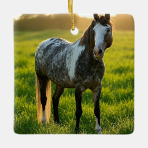 Add Horse Photo Customize Ceramic Ornament