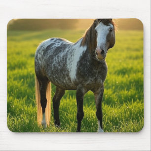Add Horse Photo Customize Mouse Pad
