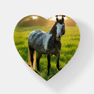 Add Horse Photo Customize Paperweight