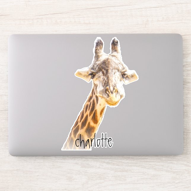 Add Name Grinning Cute Giraffe Photography Modern Sticker (Computer)