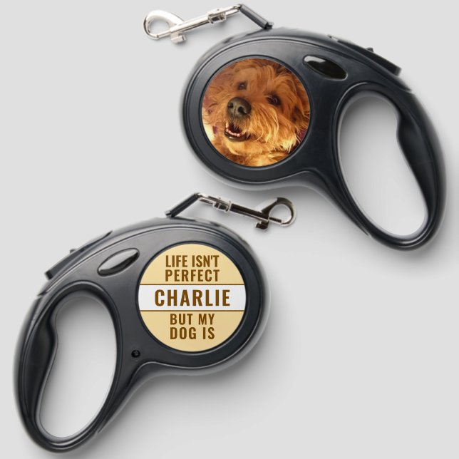 Add name photo brown dog retractable pet leash  (Front & Back)