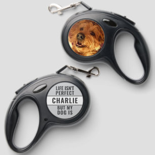 Add name photo grey dog retractable pet leash