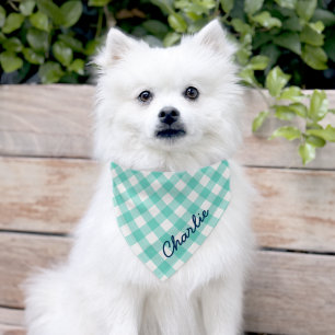 Add Name Script Mint Turquoise Gingham Pet Bandana Collar
