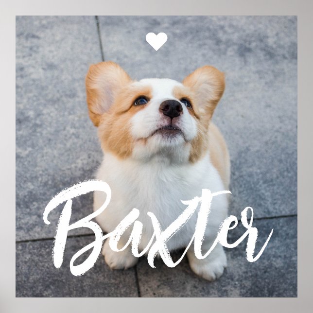 Add Pet Photo and White Script Name Heart Poster (Front)