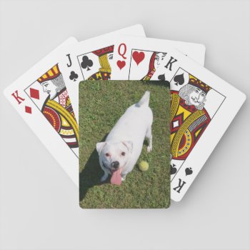 Add Pet Photo Bicycle® Poker Playing Cards by StormythoughtsGifts at Zazzle