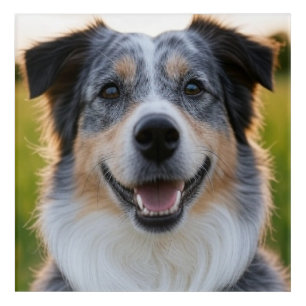 Add Pet Photo Customize Acrylic Print