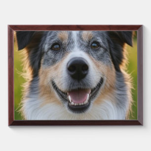 Add Pet Photo Customize Award Plaque