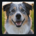 Add Pet Photo Customize Bandana<br><div class="desc">Add Pet Photo Customize,  Add Pet Photo,  Add Dog Photo,  Pet,  Pets,  Dog,  Personalize,  Customize,  Photo,  generativecontent</div>