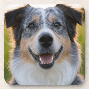 Add Pet Photo Customize Beverage Coaster