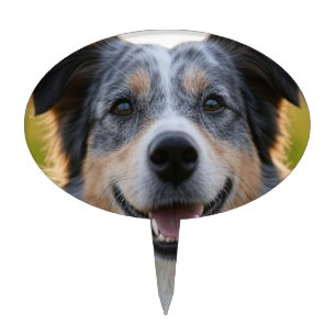Add Pet Photo Customize Cake Topper