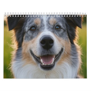Add Pet Photo Customize Calendar