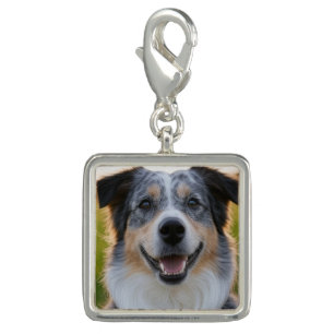 Add Pet Photo Customize Charm