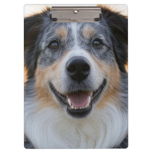 Add Pet Photo Customize Clipboard