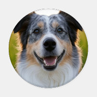 Add Pet Photo Customize