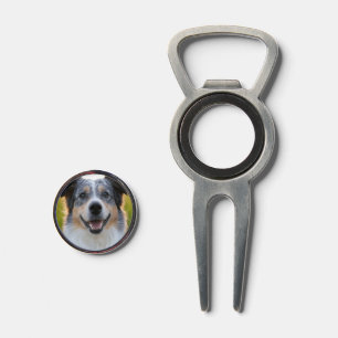 Add Pet Photo Customize Divot Tool