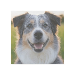 Add Pet Photo Customize Gallery Wrap
