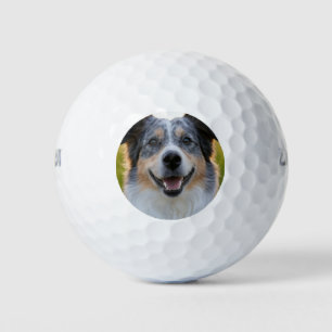 Add Pet Photo Customize Golf Balls