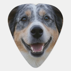 Add Pet Photo Customize Guitar Pick