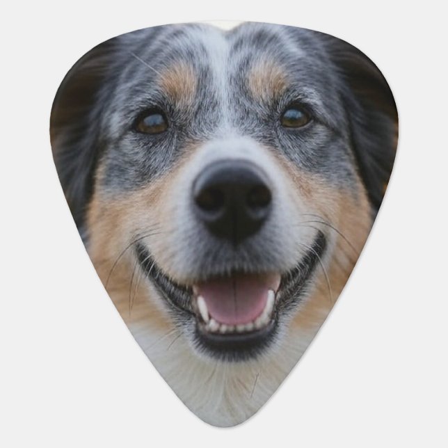 Add Pet Photo Customize Guitar Pick (Front)