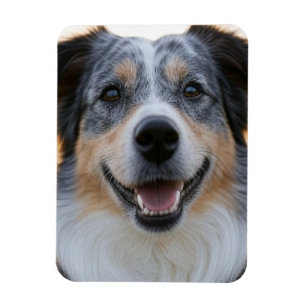 Add Pet Photo Customize Magnet