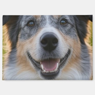 Add Pet Photo Customize Magnet