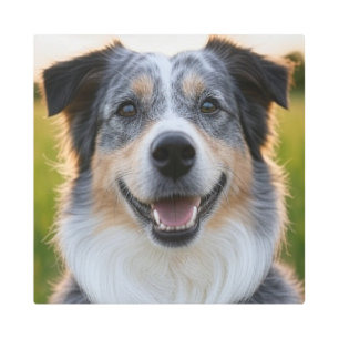 Add Pet Photo Customize Metal Print