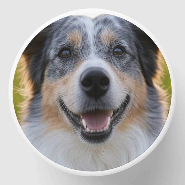 Add Pet Photo Customize Mini Candle Favors (Front)
