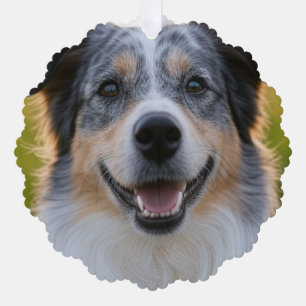 Add Pet Photo Customize Ornament Card