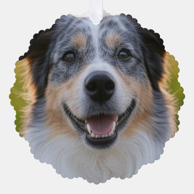 Add Pet Photo Customize Ornament Card (Front)