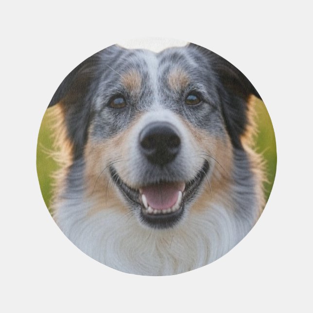 Add Pet Photo Customize Outdoor Rug (Front)