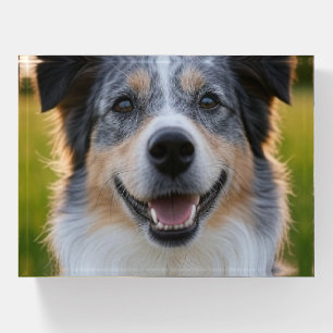 Add Pet Photo Customize Paperweight