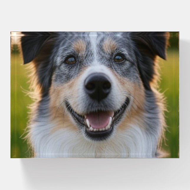 Add Pet Photo Customize Paperweight (Front)