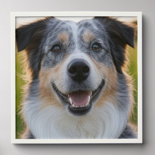 Add Pet Photo Customize Peel And Stick Photo Tile