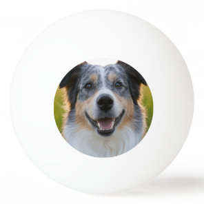 Add Pet Photo Customize Ping Pong Ball