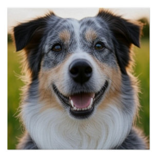 Add Pet Photo Customize Poster