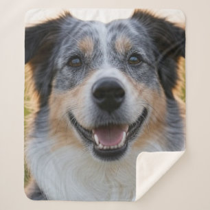 Add Pet Photo Customize Sherpa Blanket