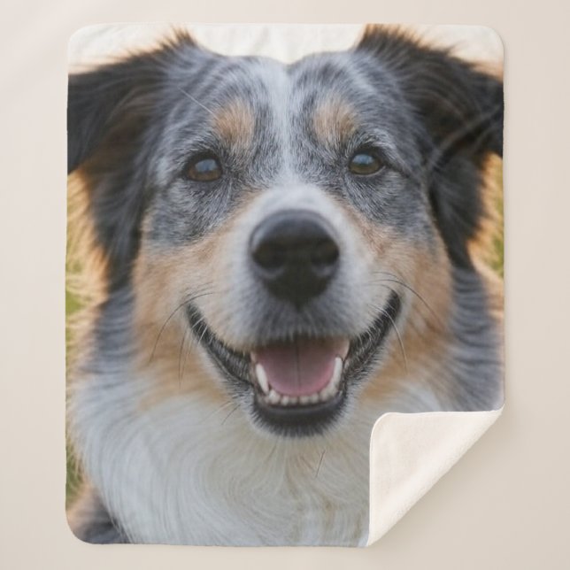 Add Pet Photo Customize Sherpa Blanket (Front)