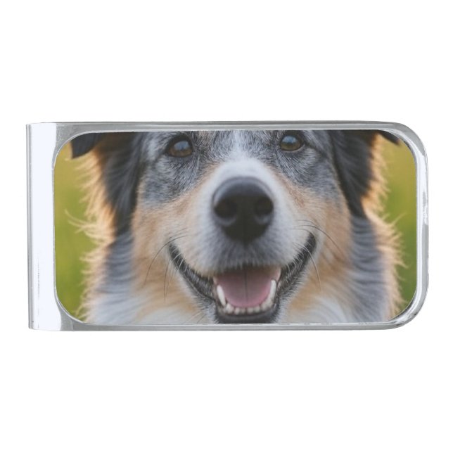 Add Pet Photo Customize Silver Finish Money Clip (Front)