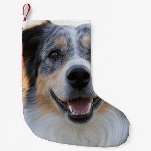 Add Pet Photo Customize Small Christmas Stocking