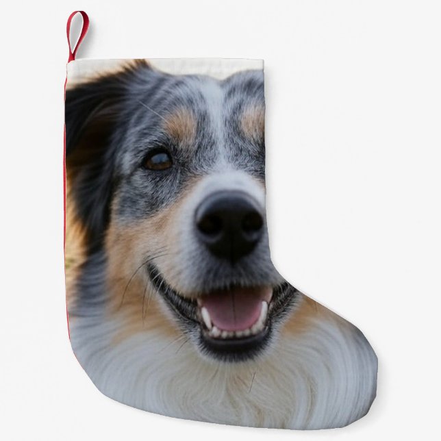Add Pet Photo Customize Small Christmas Stocking (Front)