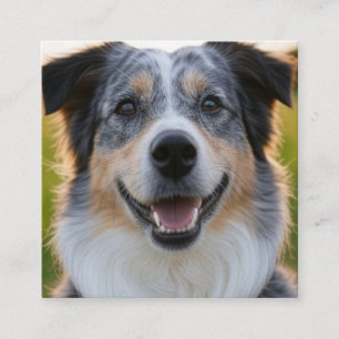 Add Pet Photo Customize Square Business Card