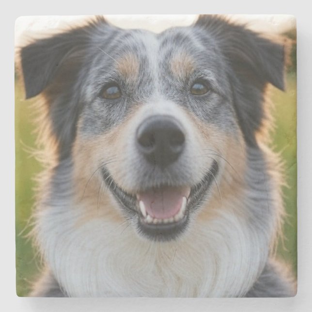 Add Pet Photo Customize Stone Coaster (Front)