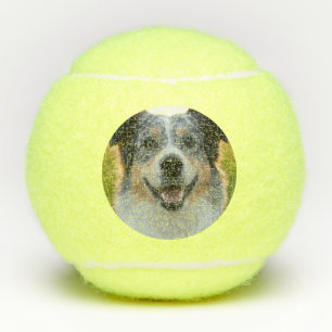 Add Pet Photo Customize Tennis Balls