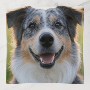 Add Pet Photo Customize Trinket Tray