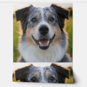Add Pet Photo Customize Wallpaper